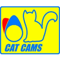 catcams 